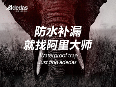 ADEDAS|“阿里大師，大師補漏”——阿里防水品牌名片